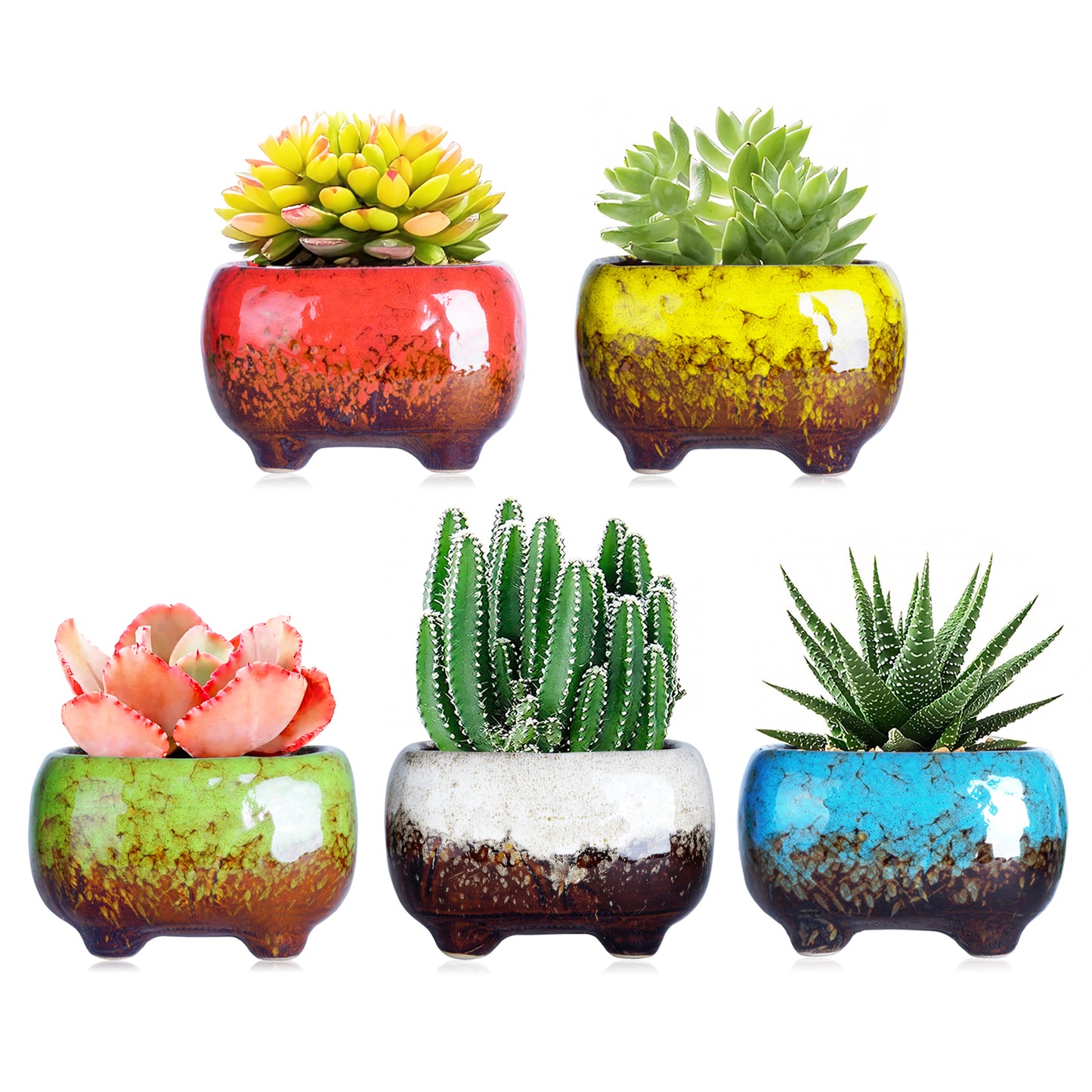 4.7 Inch Succulent Planter Pot Cute Modern Ceramic Cactus Glaze Flowers Pots with Drainage