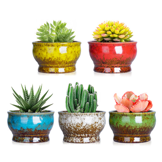 Cute 4.3 Inch Succulent Planter Pot Modern Ceramic Cactus Glaze Flowers Pots with Drainage