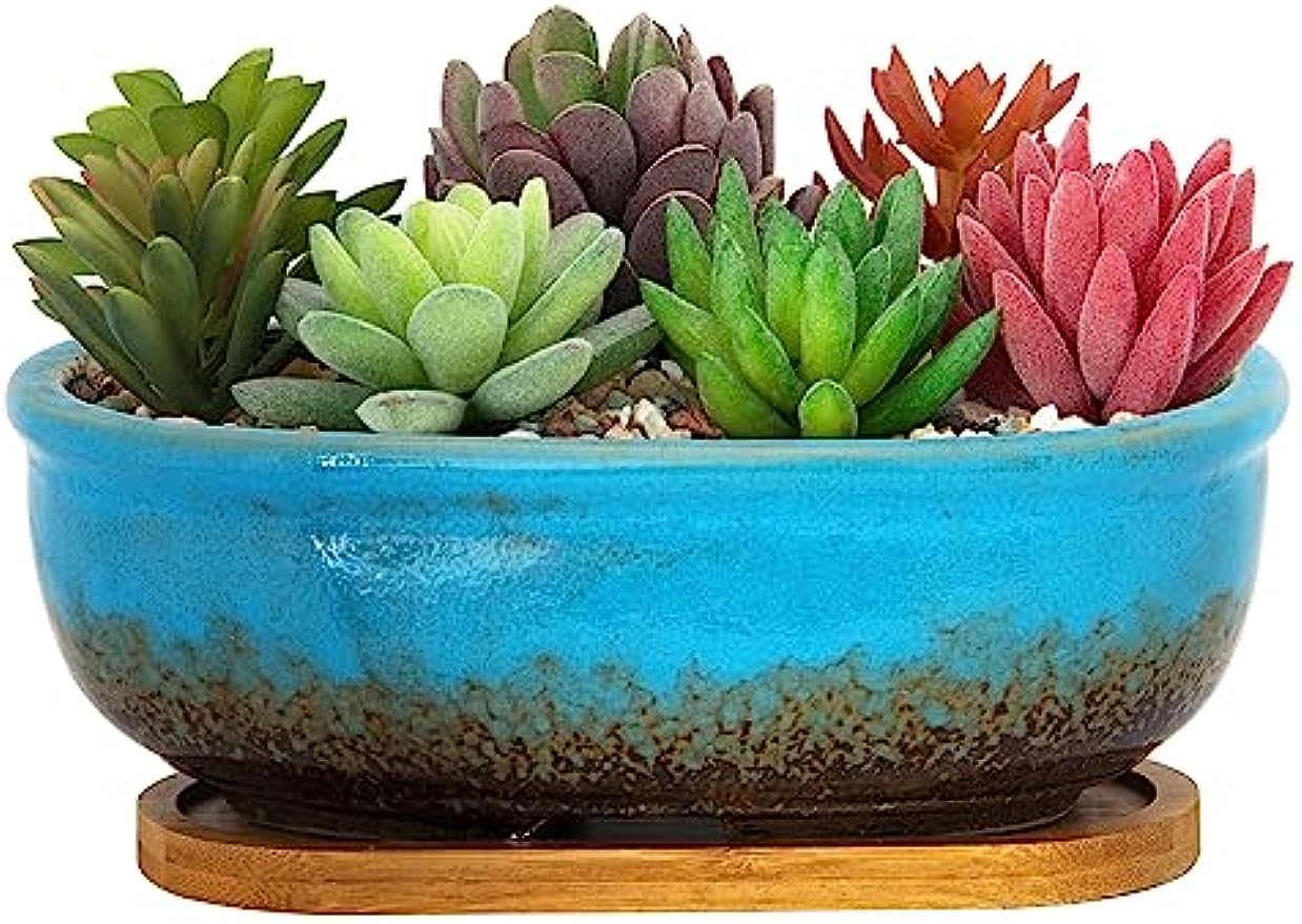 Succulent Pots, 7.9 Inch Long Rectangular Succulent Planters with Drainage Tray, Shallow Planters for Indoor Plants Ceramic Cactus Pots Glazed Bonsai Flower Plant Container for Home Windowsill Decor