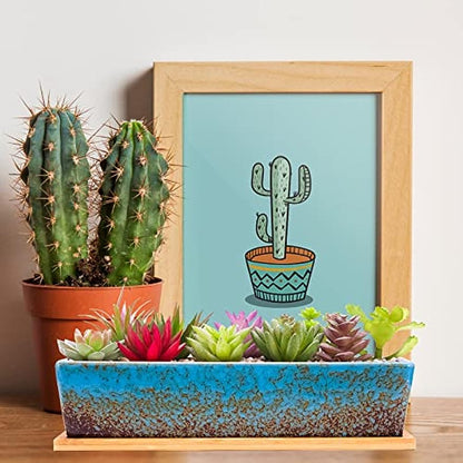 ARTKETTY Succulent Pots - Large Succulent Planter Pots with Drainage, 12 Inch Long Rectangle Bonsai Pot with Bamboo Tray Shallow Ceramic Cactus Flower Planter Window Box for Home Garden Decor (Blue)