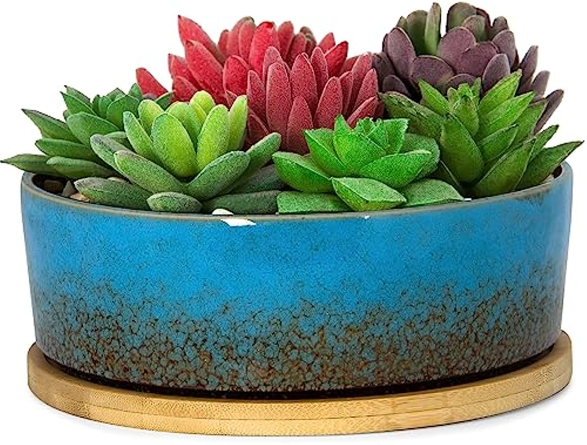 ARTKETTY Succulent Pots - 7 Inch Ceramic Bonsai Pots with Drainage Tray, Large Shallow Planters for Cactus Bonsai Trees, Round Glazed Flower Plant Container Bowl Home Desk Decor(Blue)