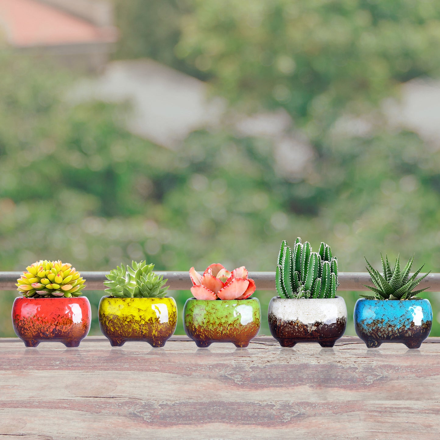 4.7 Inch Succulent Planter Pot Cute Modern Ceramic Cactus Glaze Flowers Pots with Drainage