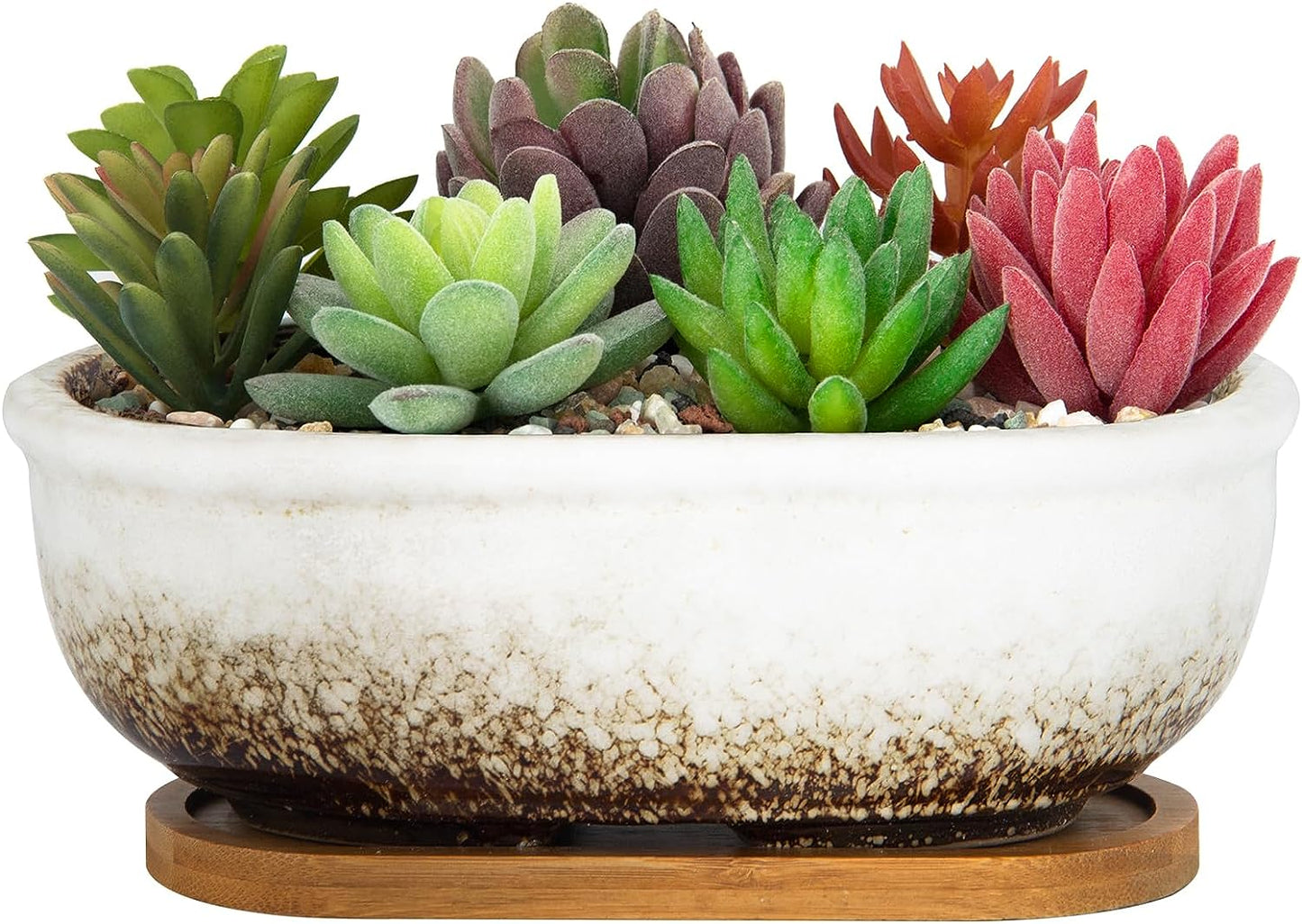 Succulent Pots, 7.9 Inch Long Rectangular Succulent Planters with Drainage Tray, Shallow Planters for Indoor Plants Ceramic Cactus Pots Glazed Bonsai Flower Plant Container for Home Windowsill Decor