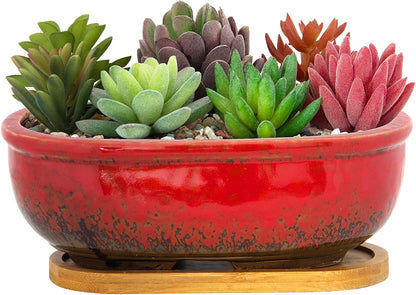 Succulent Pots, 7.9 Inch Long Rectangular Succulent Planters with Drainage Tray, Shallow Planters for Indoor Plants Ceramic Cactus Pots Glazed Bonsai Flower Plant Container for Home Windowsill Decor