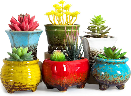 Succulent Pots - Small Succulent Plant Pots with Drainage Set of 6, Ceramic Cactus Planter Pots for Indoor Unique Flower Planter Container for Home Office Decor