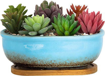 Succulent Pots, 7.9 Inch Long Rectangular Succulent Planters with Drainage Tray, Shallow Planters for Indoor Plants Ceramic Cactus Pots Glazed Bonsai Flower Plant Container for Home Windowsill Decor