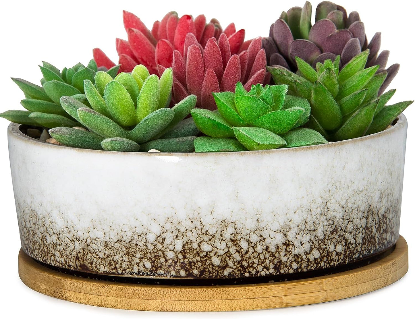 ARTKETTY Succulent Pots - 7 Inch Ceramic Bonsai Pots with Drainage Tray, Large Shallow Planters for Cactus Bonsai Trees, Round Glazed Flower Plant Container Bowl Home Desk Decor(Blue)