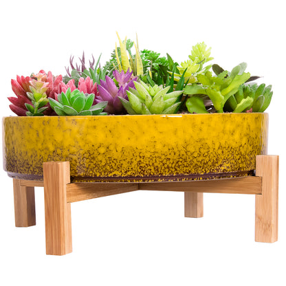 Succulent Pot - Large Succulent Planter Pots with Drainage Bamboo Stand, 11.5 Inch Shallow Ceramic Bonsai Pots for Indoor/Outdoor Cactus Flower Plants