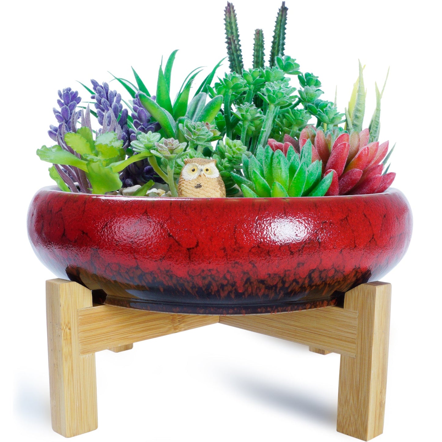 Large Succulent Pot with Drainage, 10 Inch Round Succulent Planter Pot with Stand Shallow Ceramic Bonsai Pot for Indoor Plants, Flower, Cactus