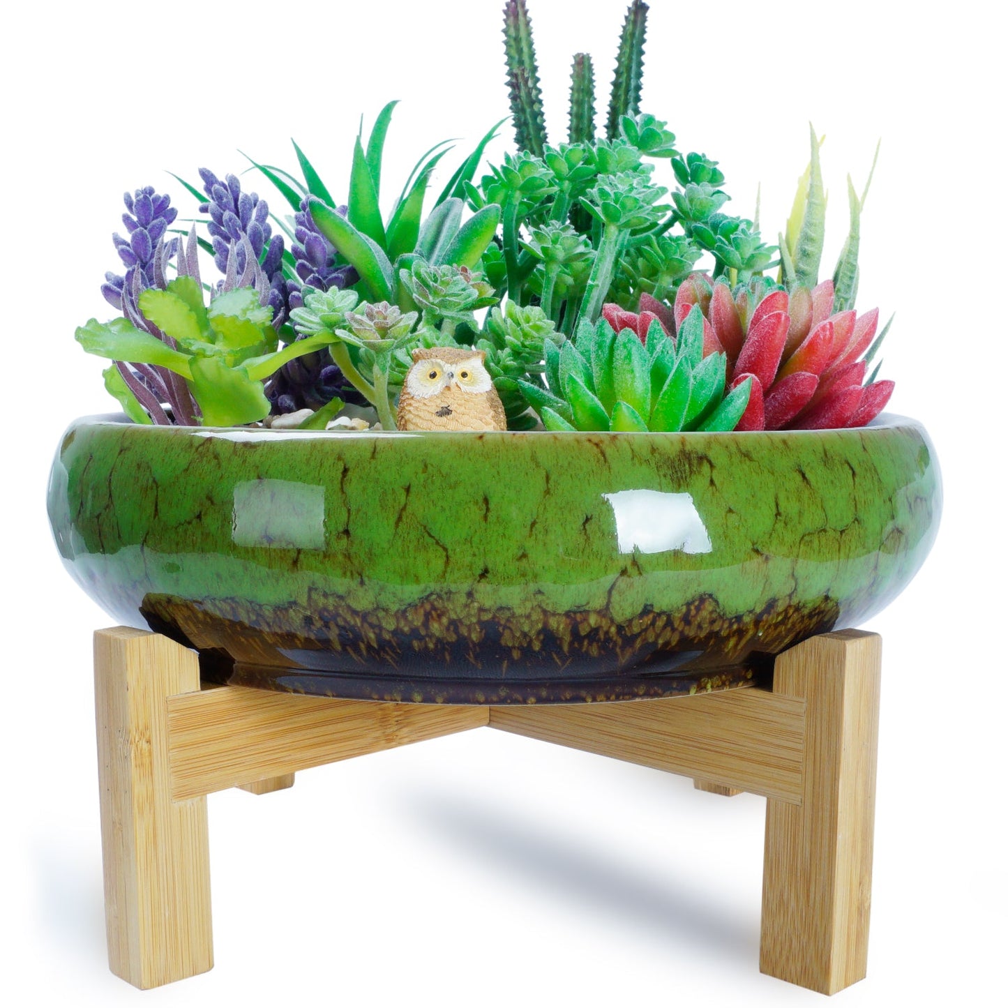 Large Succulent Pot with Drainage, 10 Inch Round Succulent Planter Pot with Stand Shallow Ceramic Bonsai Pot for Indoor Plants, Flower, Cactus