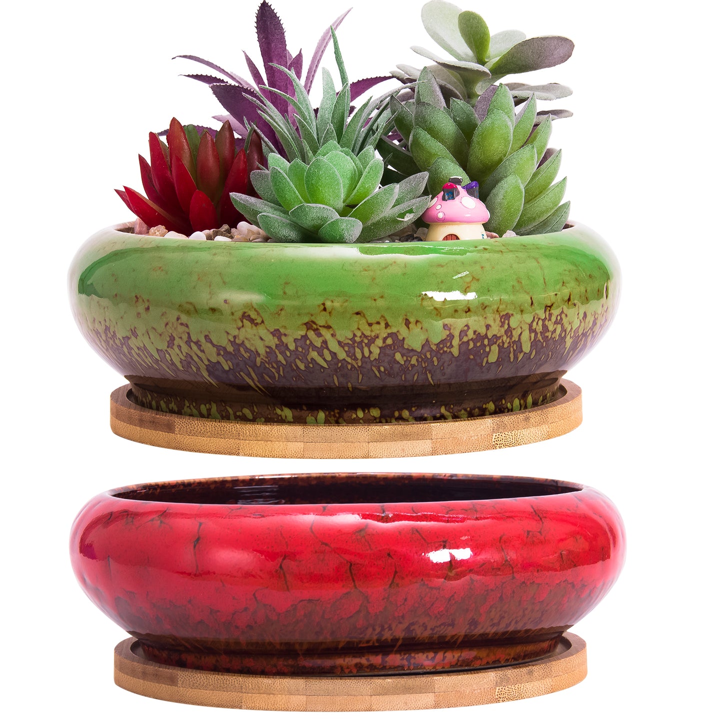 Succulent Pots, 6.1 Inch Succulent Planter Pots with Drainage Hole Pack of 2, Shallow Bonsai Pots with Tray Ceramic Flower Plant Pots for Indoor/Outdoor