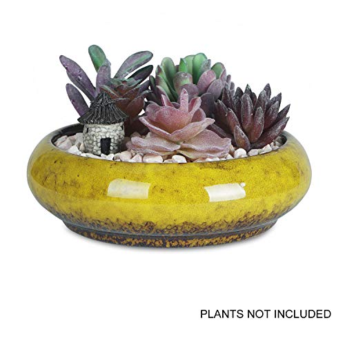 6.1 inch Round Succulent Planter Pots with Drainage Hole Bonsai Pots Garden Decorative Cactus Stand Ceramic Glazed Flower Container White, with Bamboo Tray