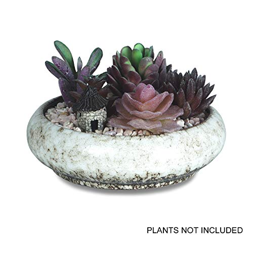 6.1 inch Round Succulent Planter Pots with Drainage Hole Bonsai Pots Garden Decorative Cactus Stand Ceramic Glazed Flower Container Red, with Bamboo Tray