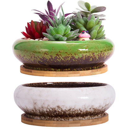 Succulent Pots, 6.1 Inch Succulent Planter Pots with Drainage Hole Pack of 2, Shallow Bonsai Pots with Tray Ceramic Flower Plant Pots for Indoor/Outdoor