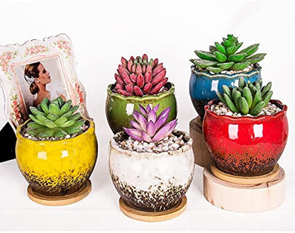 Succulent Pots, 4 Inch Small Succulent Planter Pot with Drainage Bamboo Trays, Ceramic Cactus Flower Planter Pot for Indoor Plants Set of 6