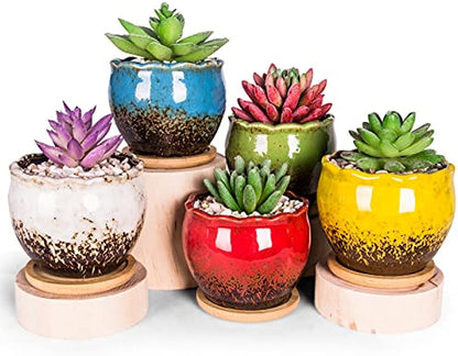 Succulent Pots, 4 Inch Small Succulent Planter Pot with Drainage Bamboo Trays, Ceramic Cactus Flower Planter Pot for Indoor Plants Set of 6