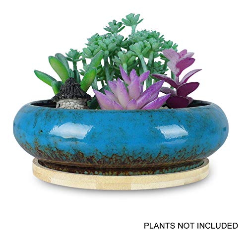 6.1 inch Round Succulent Planter Pots with Drainage Hole Bonsai Pots Garden Decorative Cactus Stand Ceramic Glazed Flower Container Red, with Bamboo Tray