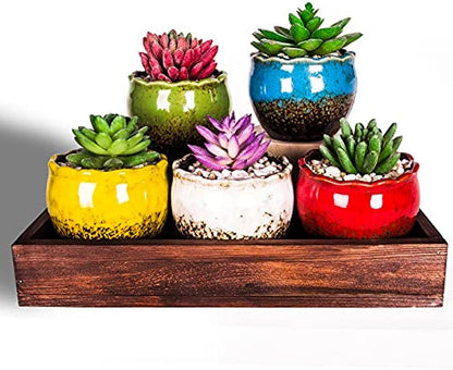 Succulent Pots, 4 Inch Small Succulent Planter Pot with Drainage Bamboo Trays, Ceramic Cactus Flower Planter Pot for Indoor Plants Set of 6