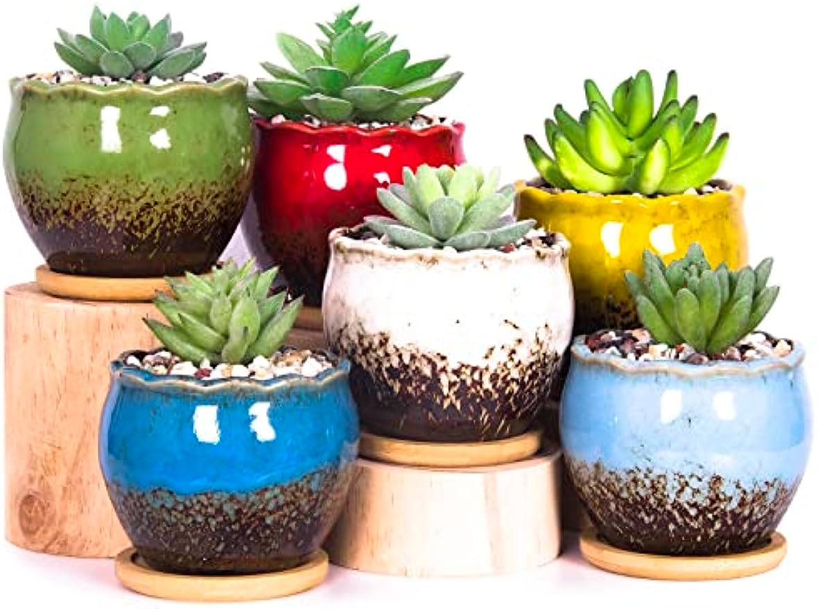 Succulent Pots, 4 Inch Small Succulent Planter Pot with Drainage Bamboo Trays, Ceramic Cactus Flower Planter Pot for Indoor Plants Set of 6