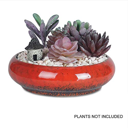 6.1 inch Round Succulent Planter Pots with Drainage Hole Bonsai Pots Garden Decorative Cactus Stand Ceramic Glazed Flower Container White, with Bamboo Tray