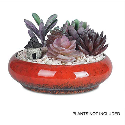 6.1 inch Round Succulent Planter Pots with Drainage Hole Bonsai Pots Garden Decorative Cactus Stand Ceramic Glazed Flower Container White, with Bamboo Tray