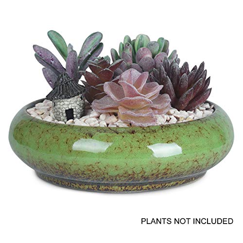 6.1 inch Round Succulent Planter Pots with Drainage Hole Bonsai Pots Garden Decorative Cactus Stand Ceramic Glazed Flower Container White, with Bamboo Tray