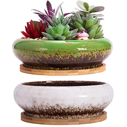 Succulent Pots, 6.1 Inch Succulent Planter Pots with Drainage Hole Pack of 2, Shallow Bonsai Pots with Tray Ceramic Flower Plant Pots for Indoor/Outdoor