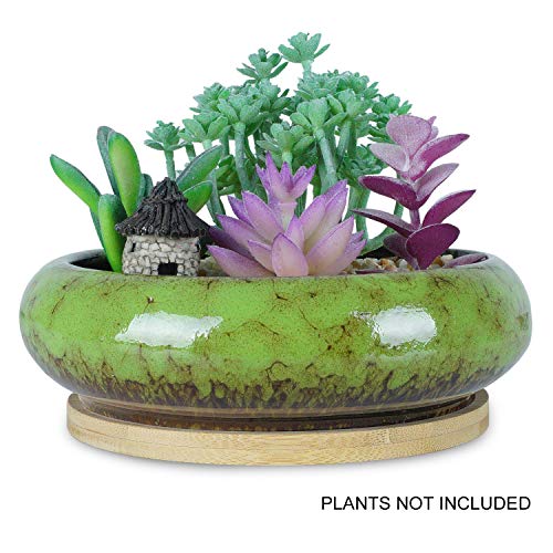 6.1 inch Round Succulent Planter Pots with Drainage Hole Bonsai Pots Garden Decorative Cactus Stand Ceramic Glazed Flower Container White, with Bamboo Tray