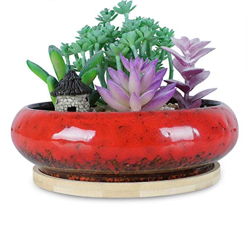 6.1 inch Round Succulent Planter Pots with Drainage Hole Bonsai Pots Garden Decorative Cactus Stand Ceramic Glazed Flower Container Red, with Bamboo Tray