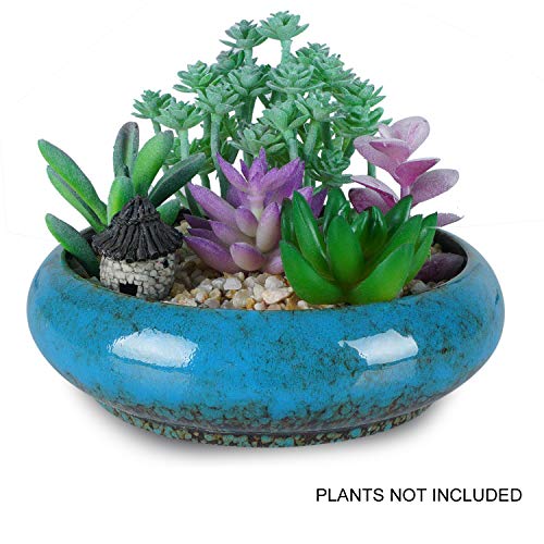 6.1 inch Round Succulent Planter Pots with Drainage Hole Bonsai Pots Garden Decorative Cactus Stand Ceramic Glazed Flower Container Red, with Bamboo Tray