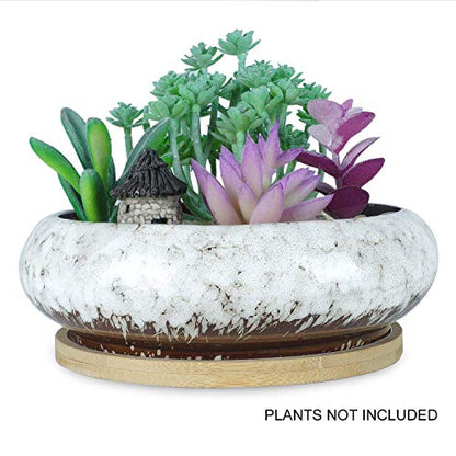 6.1 inch Round Succulent Planter Pots with Drainage Hole Bonsai Pots Garden Decorative Cactus Stand Ceramic Glazed Flower Container Red, with Bamboo Tray