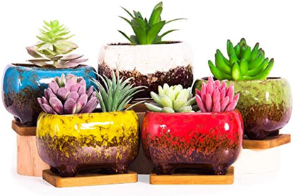 ARTKETTY Succulent Pots - 4.7 Inch Ceramic Succulent Planters with Drainage Set of 5, Rectangular Bonsai Pots with Bamboo Trays Small Pots for Indoor Cactus Flower Plants for Home Office Decor