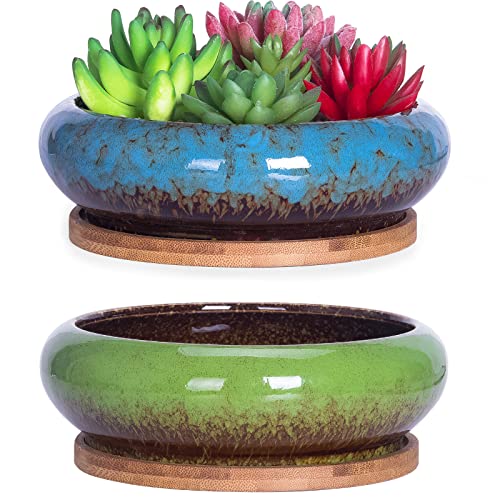 Succulent Pots, 6.1 Inch Succulent Planter Pots with Drainage Hole Pack of 2, Shallow Bonsai Pots with Tray Ceramic Flower Plant Pots for Indoor/Outdoor