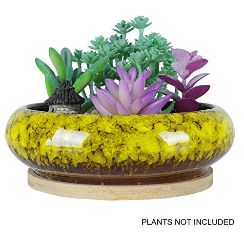 6.1 inch Round Succulent Planter Pots with Drainage Hole Bonsai Pots Garden Decorative Cactus Stand Ceramic Glazed Flower Container Red, with Bamboo Tray