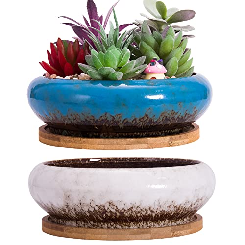 Succulent Pots, 6.1 Inch Succulent Planter Pots with Drainage Hole Pack of 2, Shallow Bonsai Pots with Tray Ceramic Flower Plant Pots for Indoor/Outdoor