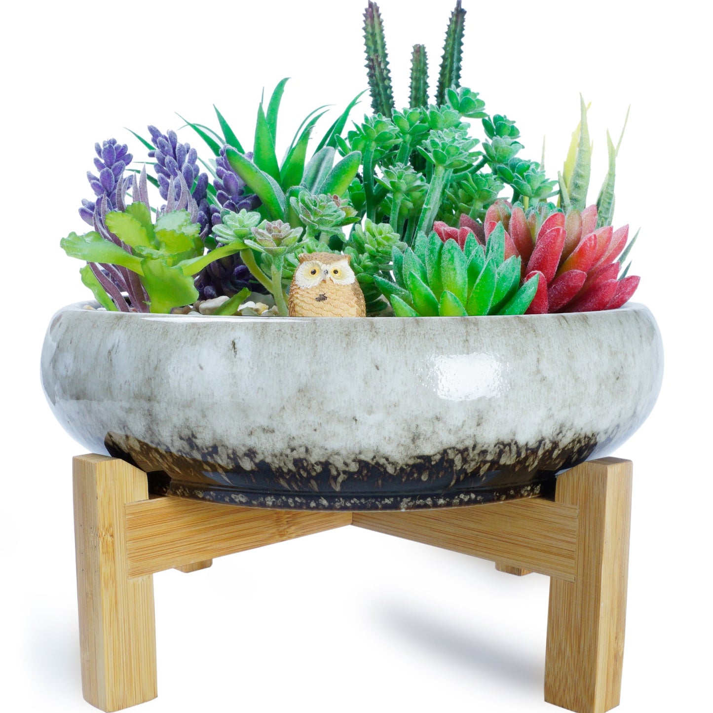 Large Succulent Pot with Drainage, 10 Inch Round Succulent Planter Pot with Stand Shallow Ceramic Bonsai Pot for Indoor Plants, Flower, Cactus