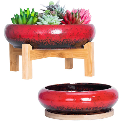 Succulent Pots, Large Succulent Planter Pots with Drainage Tray Shallow Bonsai Pots with Stand Ceramic Cactus Flower Planter Pot for Indoor Plants (7.3 and 10")