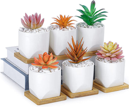 Succulent Pots with Drainage, 3 Inch Small Succulent Planter Pots with Trays White Ceramic Flower Pots for Indoor Cactus Plants 6/Pack