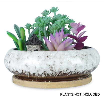 6.1 inch Round Succulent Planter Pots with Drainage Hole Bonsai Pots Garden Decorative Cactus Stand Ceramic Glazed Flower Container White, with Bamboo Tray