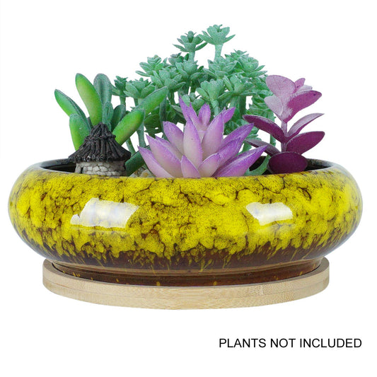 6.1 inch Round Succulent Planter Pots with Drainage Hole Bonsai Pots Garden Decorative Cactus Stand Ceramic Glazed Flower Container