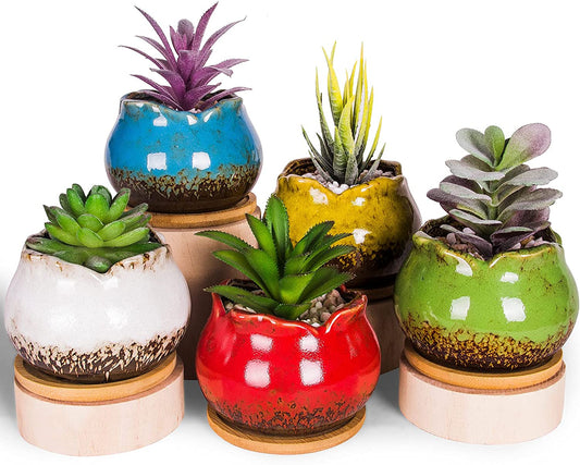 Succulent Pots, 4 Inch Small Succulent Planters Pots with Drainage Trays, Colorful Cactus Planter Ceramic Pots for Indoor Flower Plants (Pack of 5)