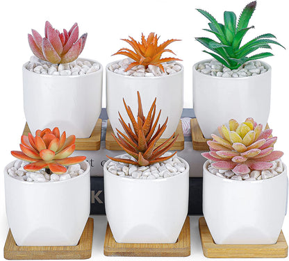 Succulent Pots with Drainage, 3 Inch Small Succulent Planter Pots with Trays White Ceramic Flower Pots for Indoor Cactus Plants 6/Pack