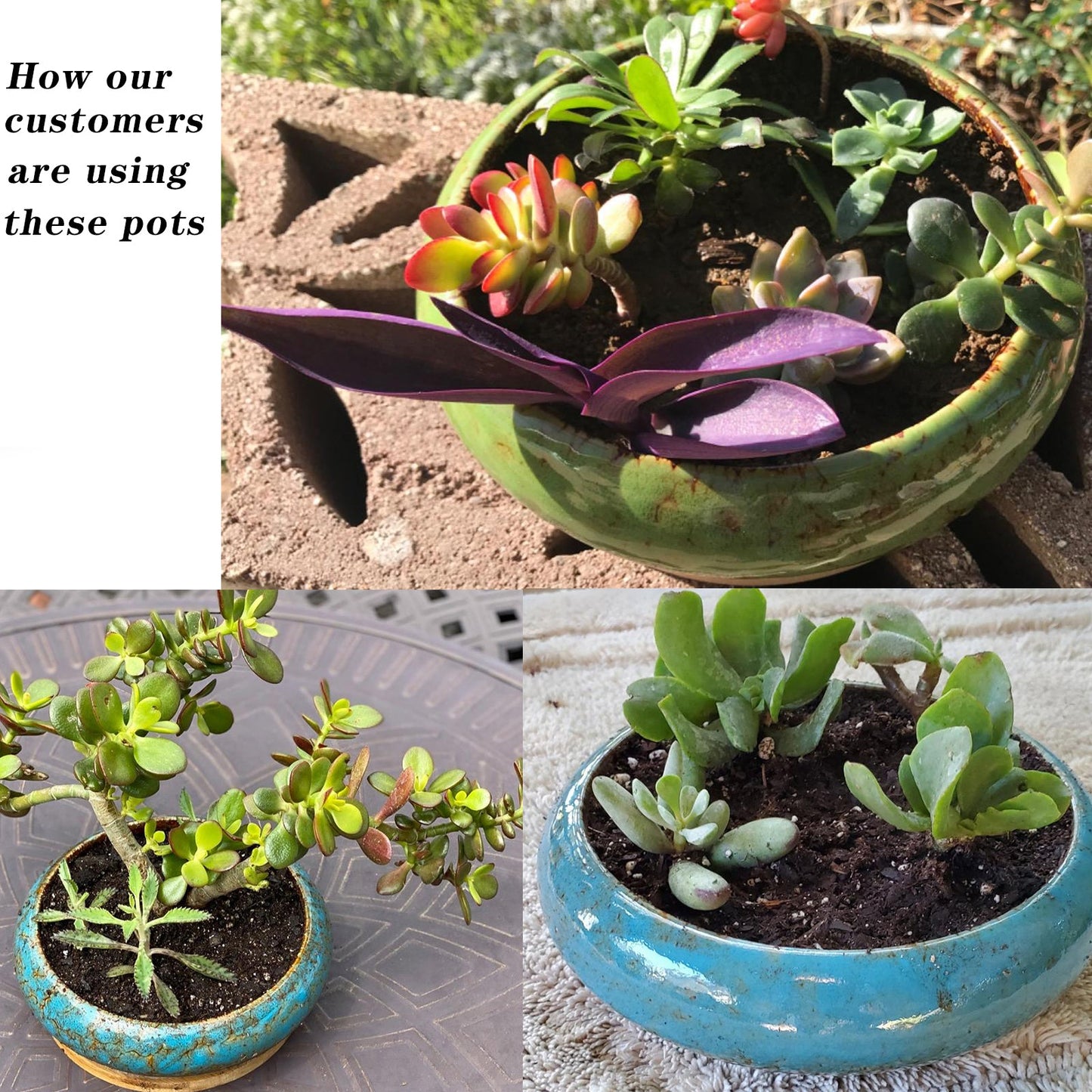 7.3 inch Round Succulent Planter Pots with Drainage Hole Bonsai Pots Garden Decorative Cactus Stand Ceramic Glazed Flower Container Blue, with Bamboo Tray