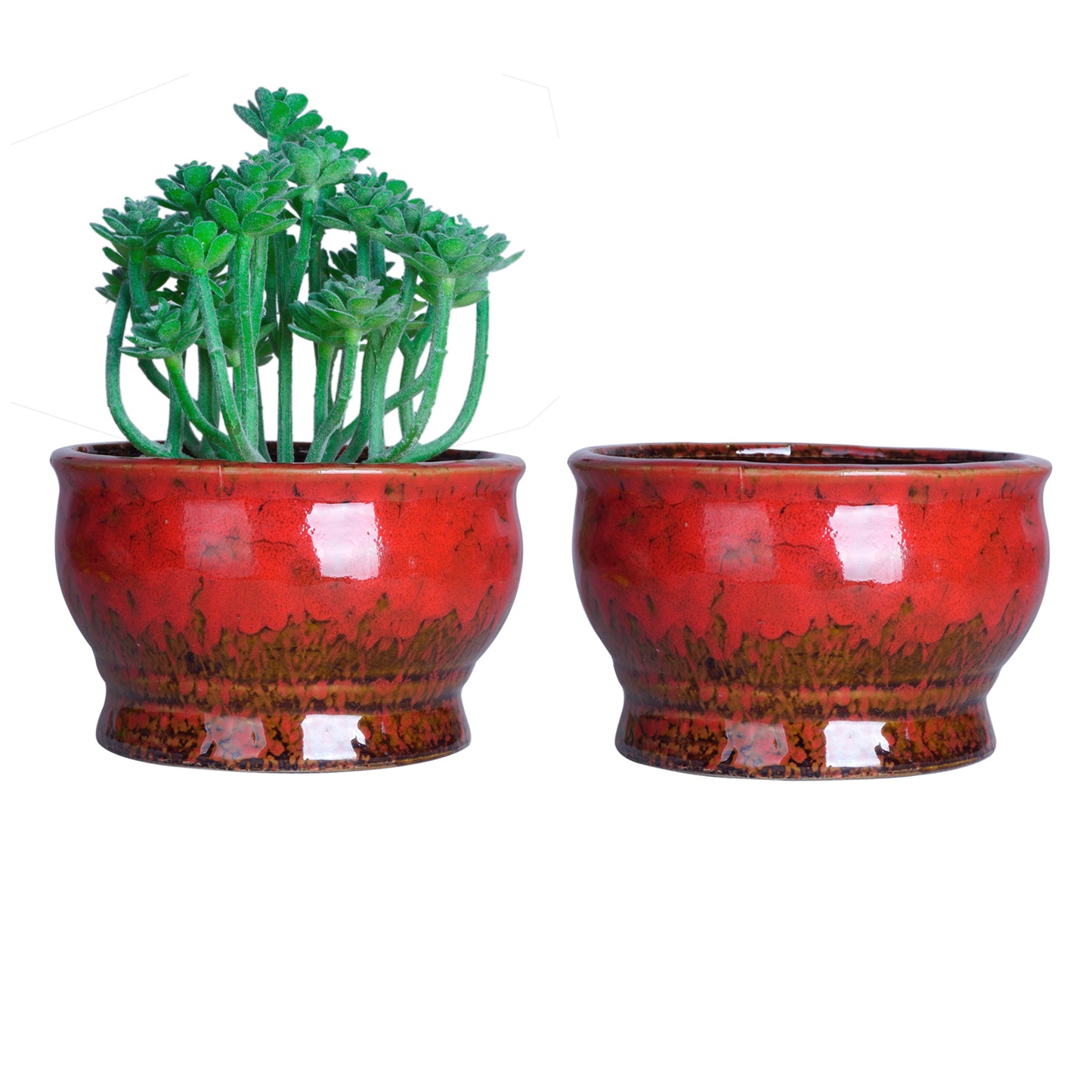 Cute 4.3 Inch Succulent Planter Pot Modern Ceramic Cactus Glaze Flowers Pots with Drainage