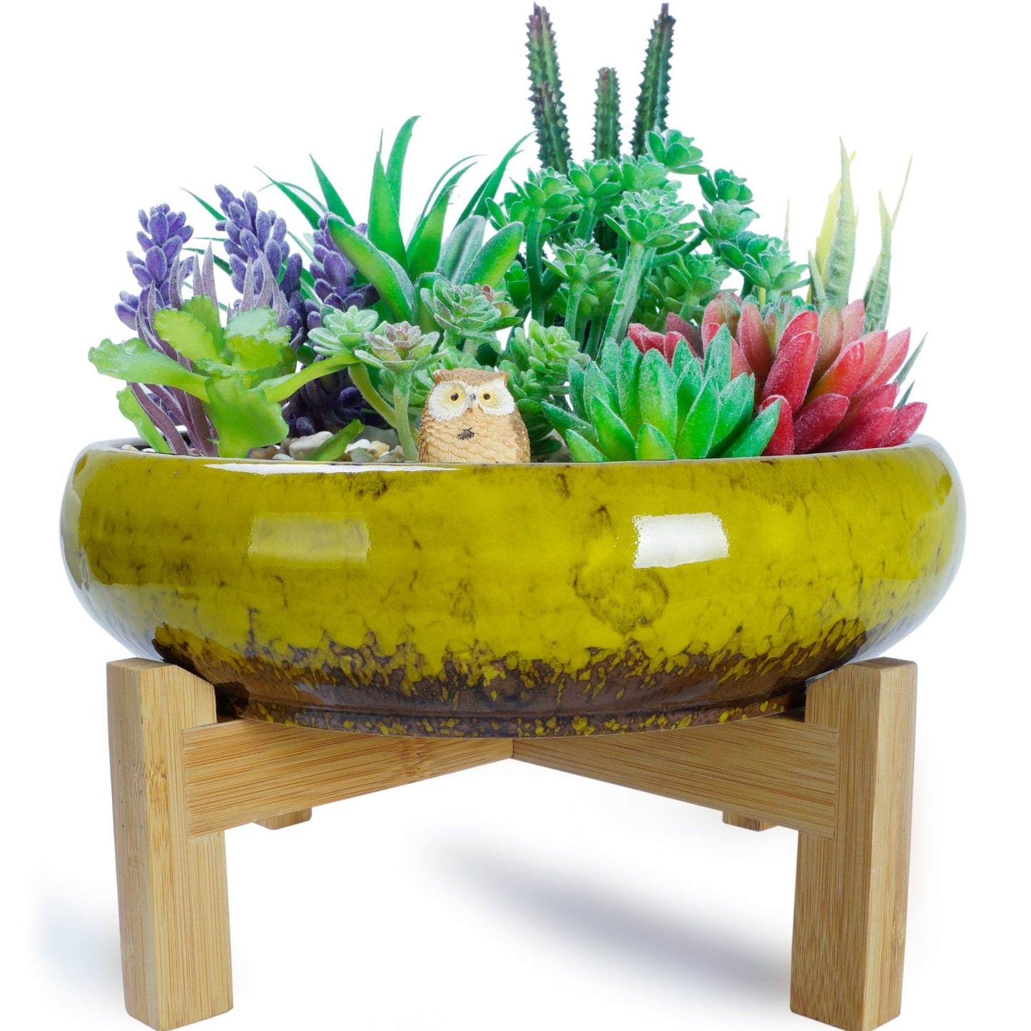 Large Succulent Pot with Drainage, 10 Inch Round Succulent Planter Pot with Stand Shallow Ceramic Bonsai Pot for Indoor Plants, Flower, Cactus