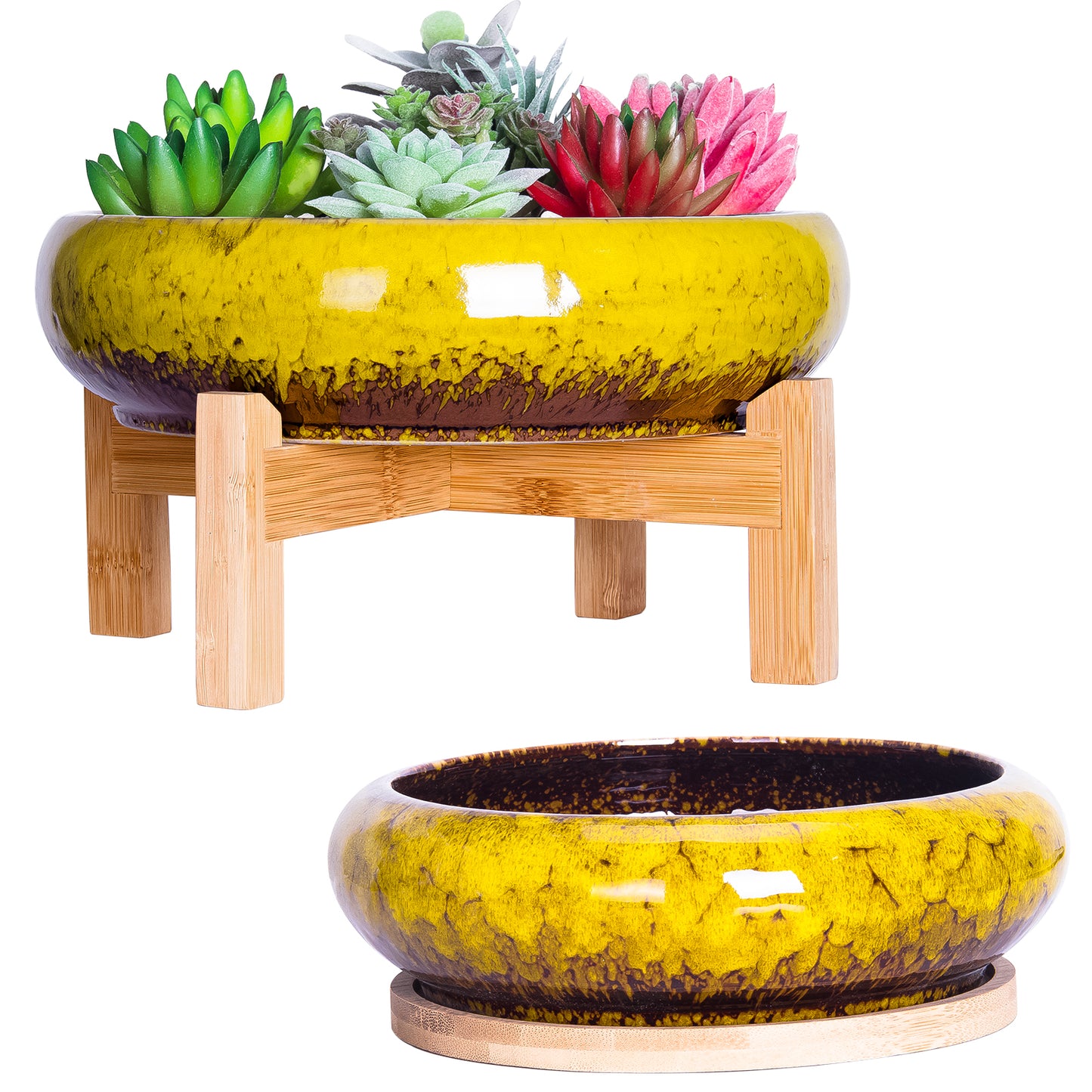 Succulent Pots, Large Succulent Planter Pots with Drainage Tray Shallow Bonsai Pots with Stand Ceramic Cactus Flower Planter Pot for Indoor Plants (7.3 and 10")