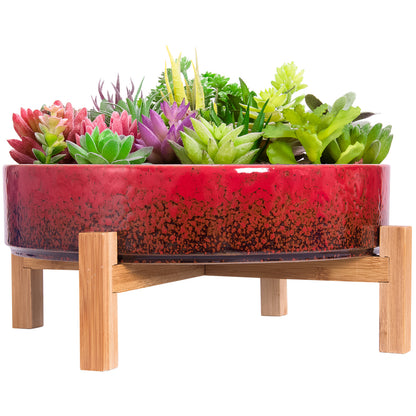 Succulent Pot - Large Succulent Planter Pots with Drainage Bamboo Stand, 11.5 Inch Shallow Ceramic Bonsai Pots for Indoor/Outdoor Cactus Flower Plants