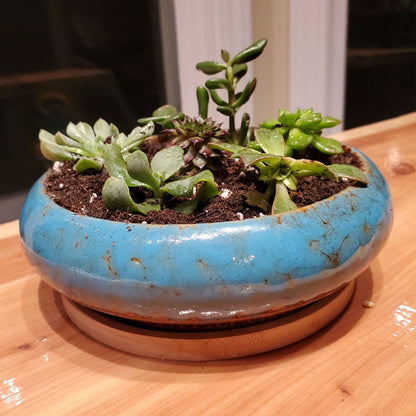 7.3 inch Round Succulent Planter Pots with Drainage Hole Bonsai Pots Garden Decorative Cactus Stand Ceramic Glazed Flower Container Blue, with Bamboo Tray